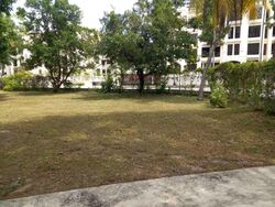 Balmoral Park (D10), Detached #585446421
